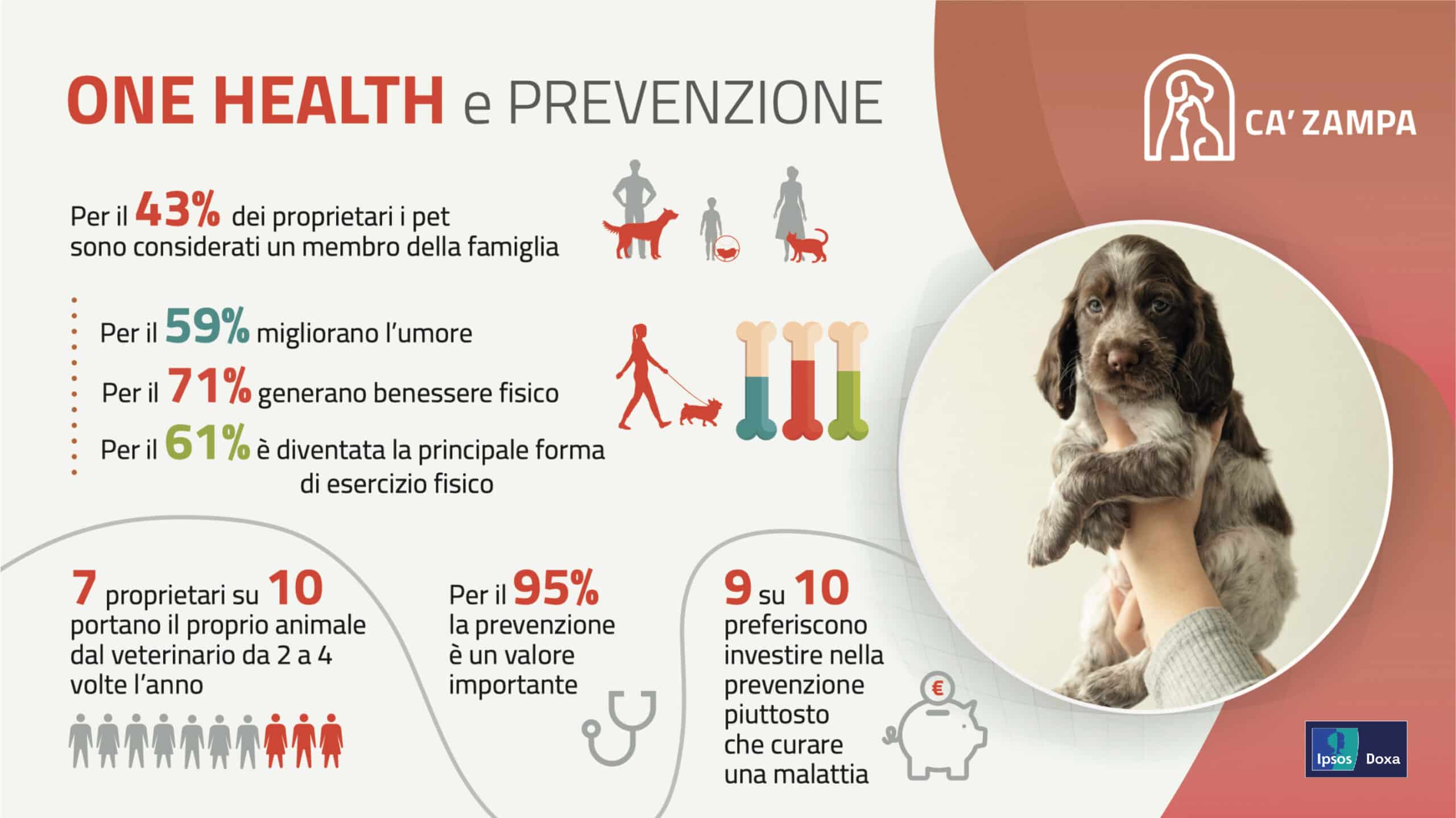 ca zampa clinica veterinaria sostenibile
