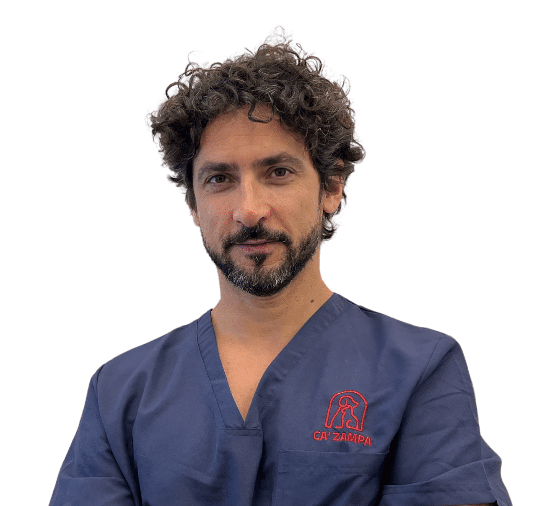Domenico Praino