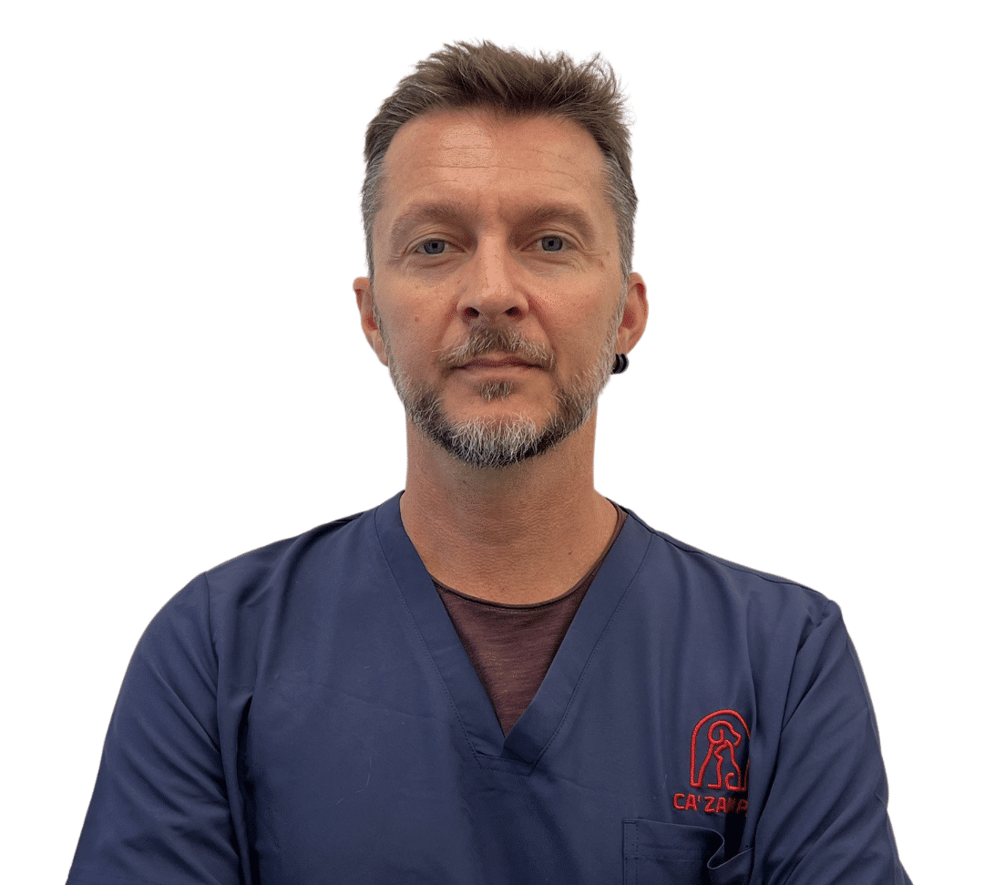 Marco Bergonzoni