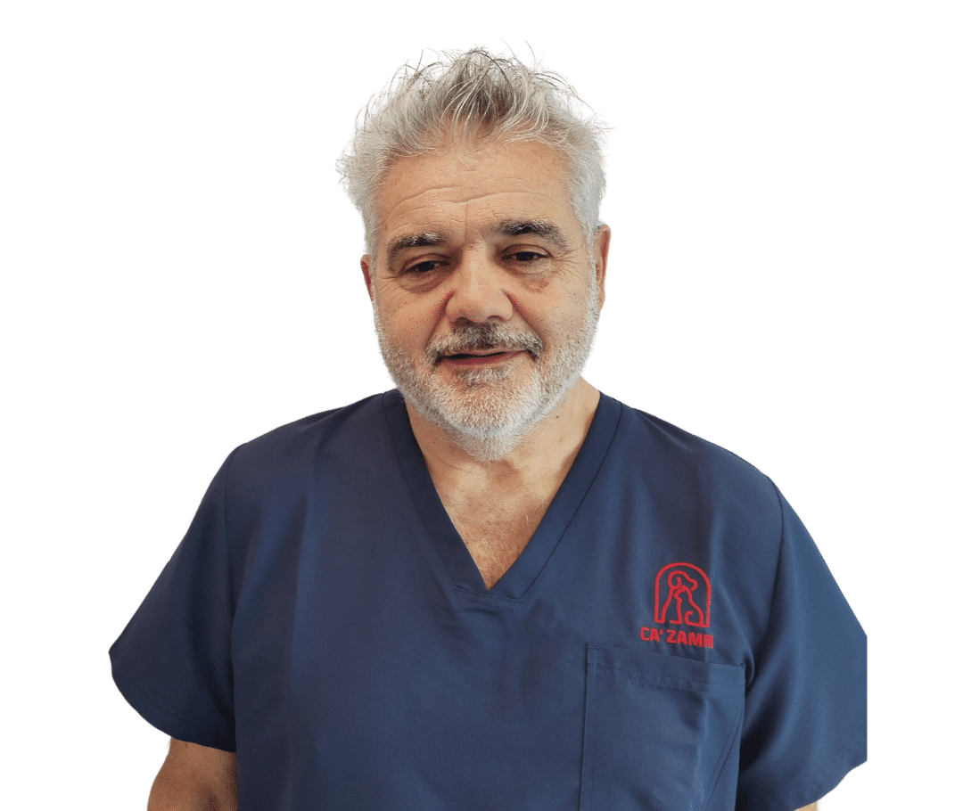 Roberto Da Pozzo
