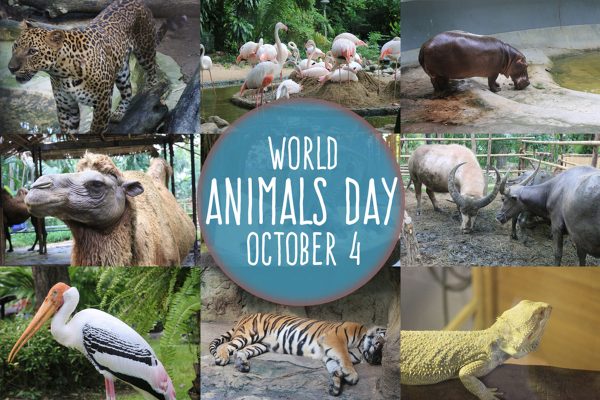 giornata mondiale animali