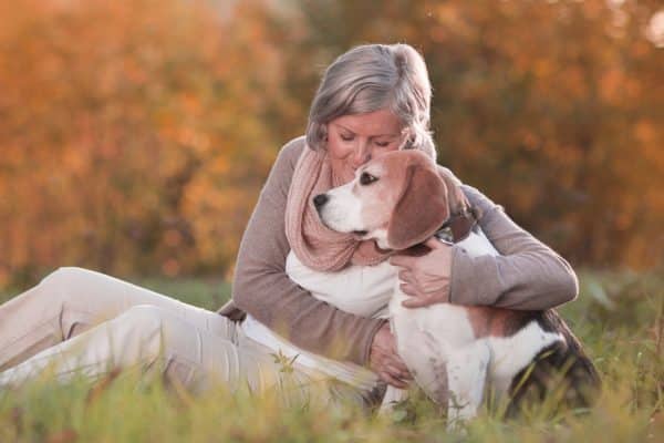 declino cognitivo cani gatti