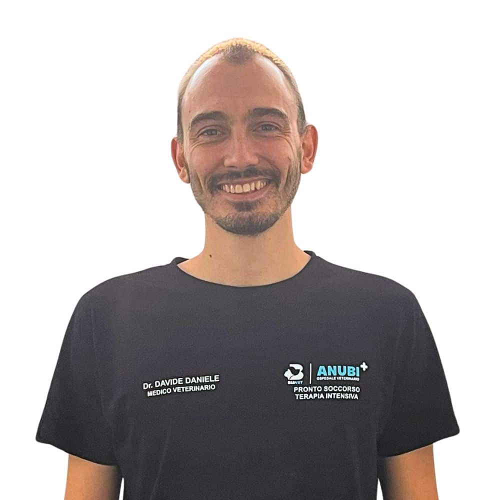 Davide Daniele