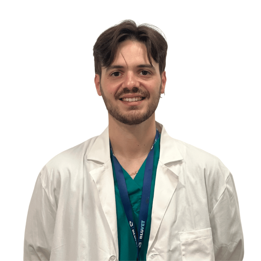 Davide Doganiero