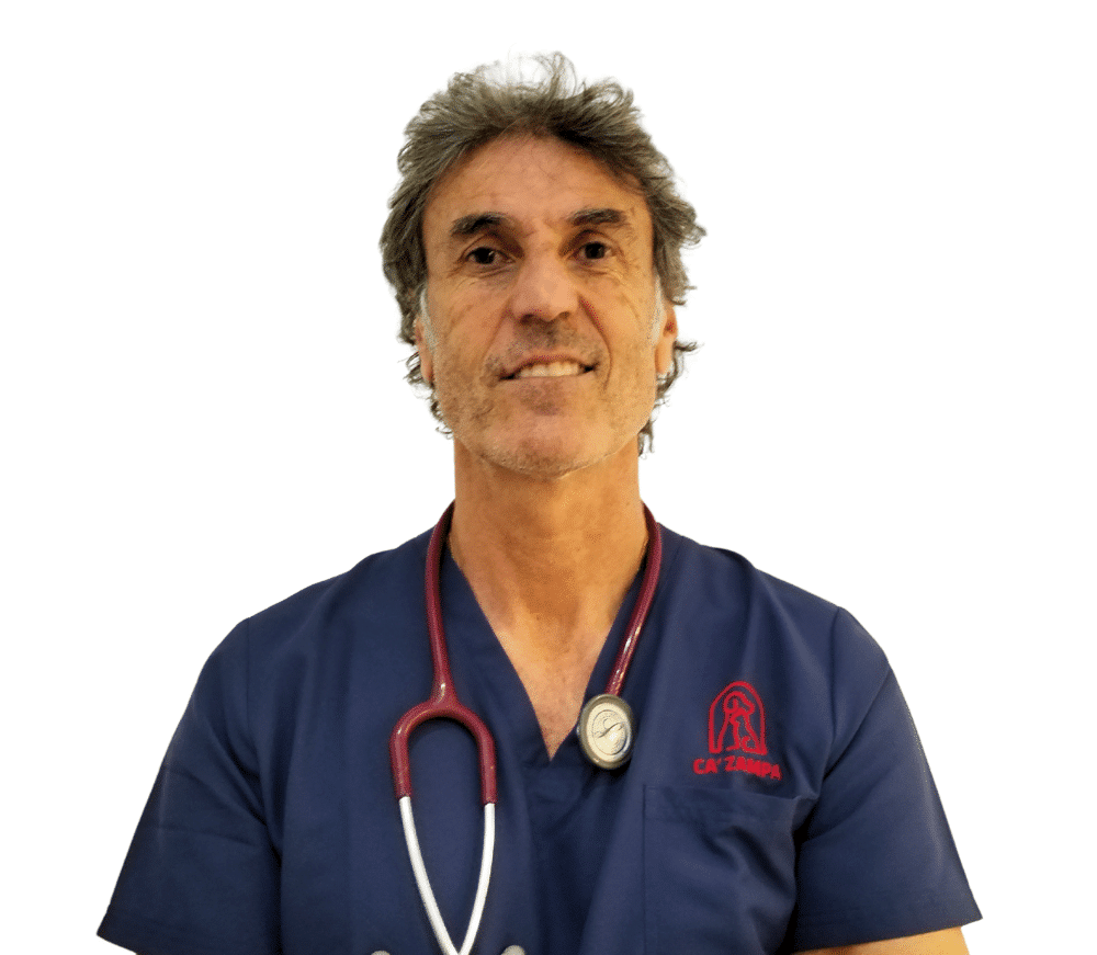 Federico Coccia