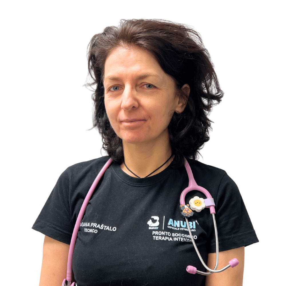 Dragana Prastalo