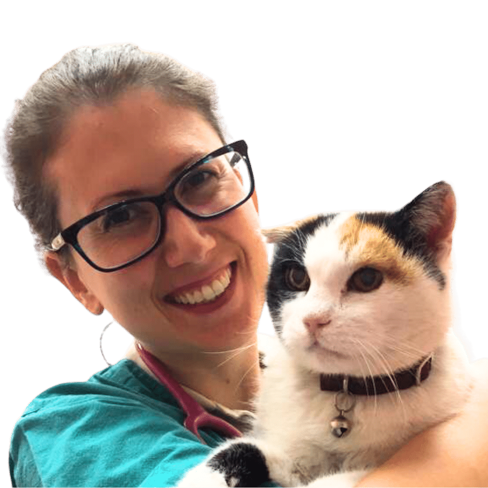 Federica Bonadiman
