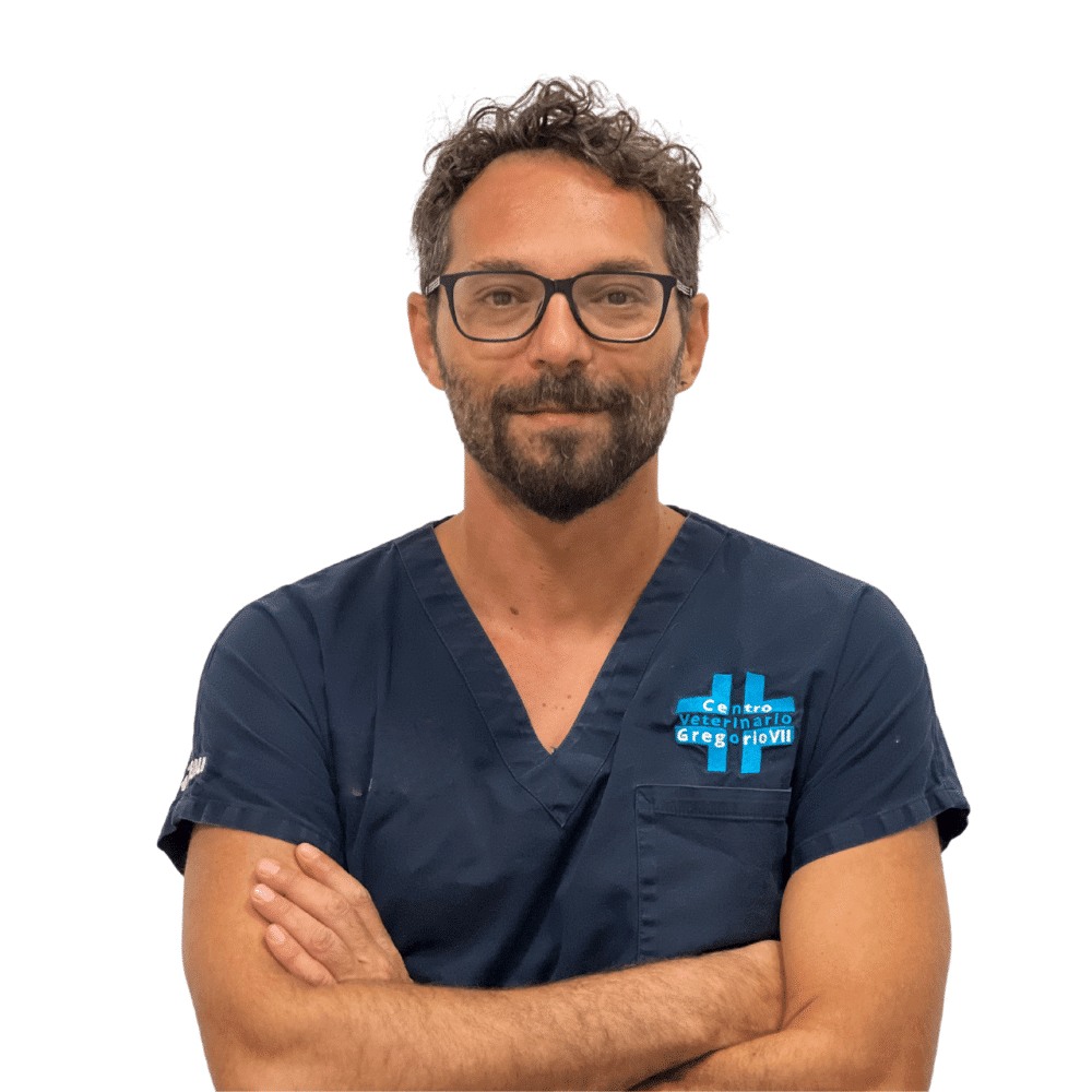 Gian Mauro Ferrara