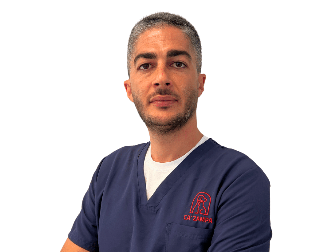 Giuseppe De Cata