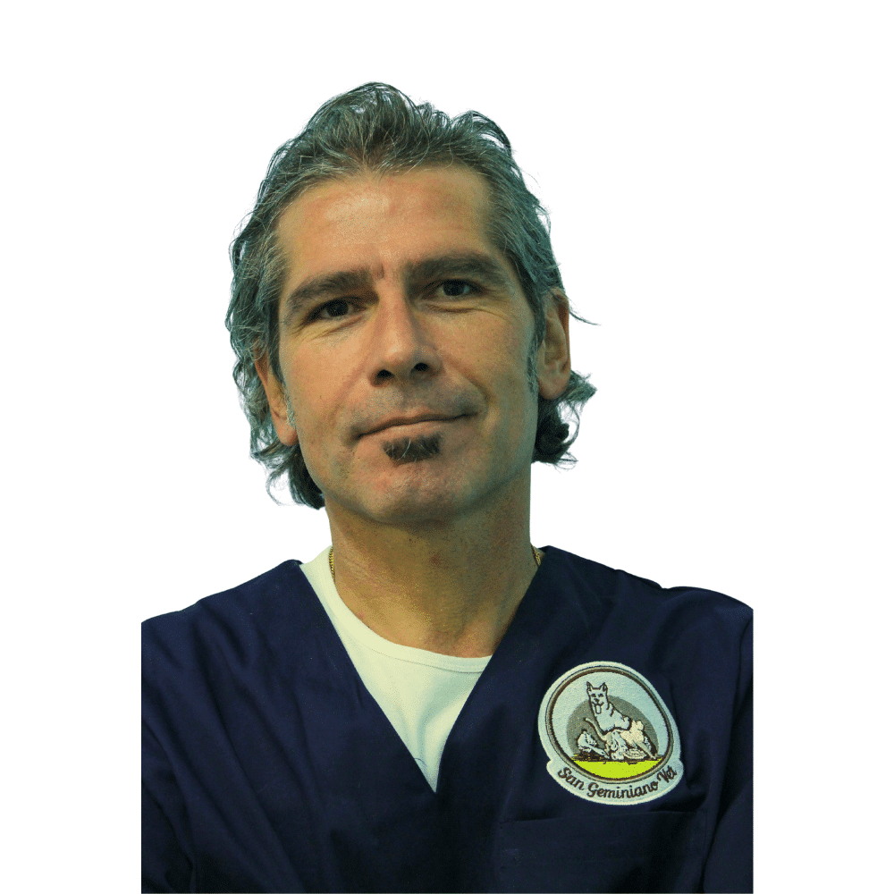 Matteo Franceschini
