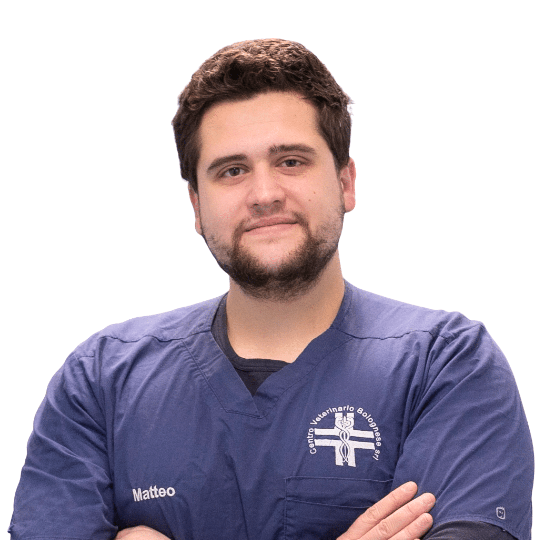 Matteo Giacomini