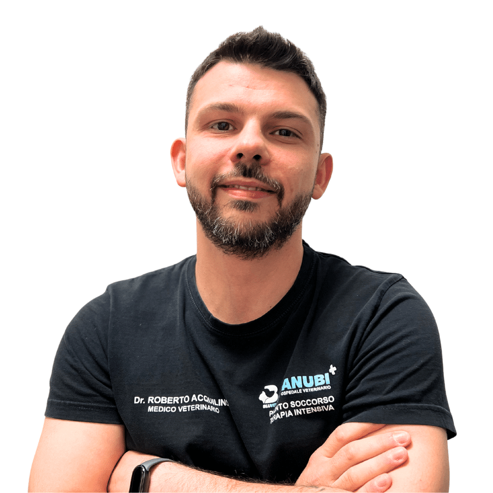 Roberto Acquilino