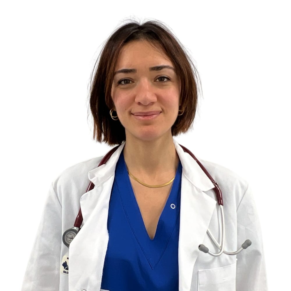 Sara Palmaccio