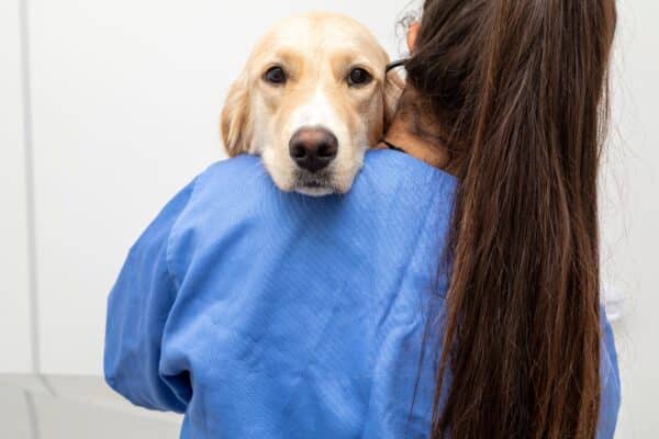 veterinario con cane